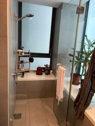 The Suites At Central (D9), Condominium #597157351